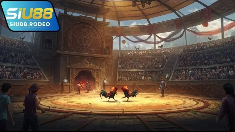 Cách xem trực tiếp gà đòn C1 hôm nay